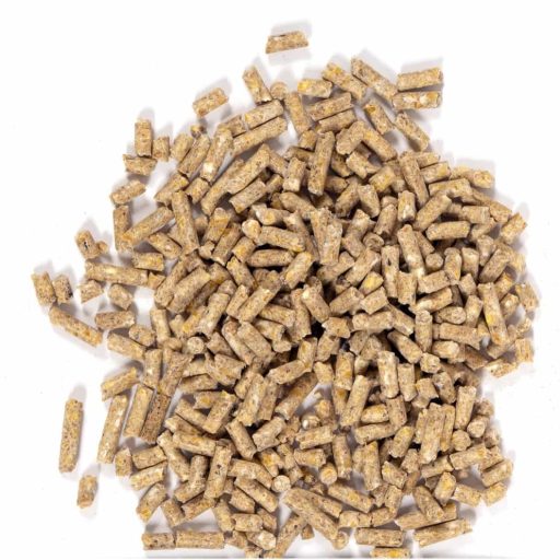 Shrimp Feed
